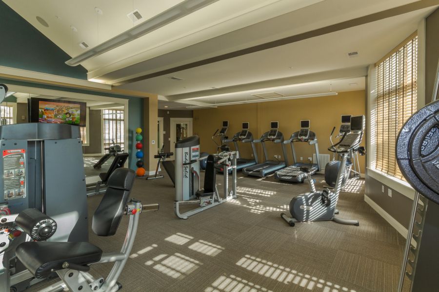 Modern gym with cardio machines, weight equipment, and sunlight streaming through large windows.