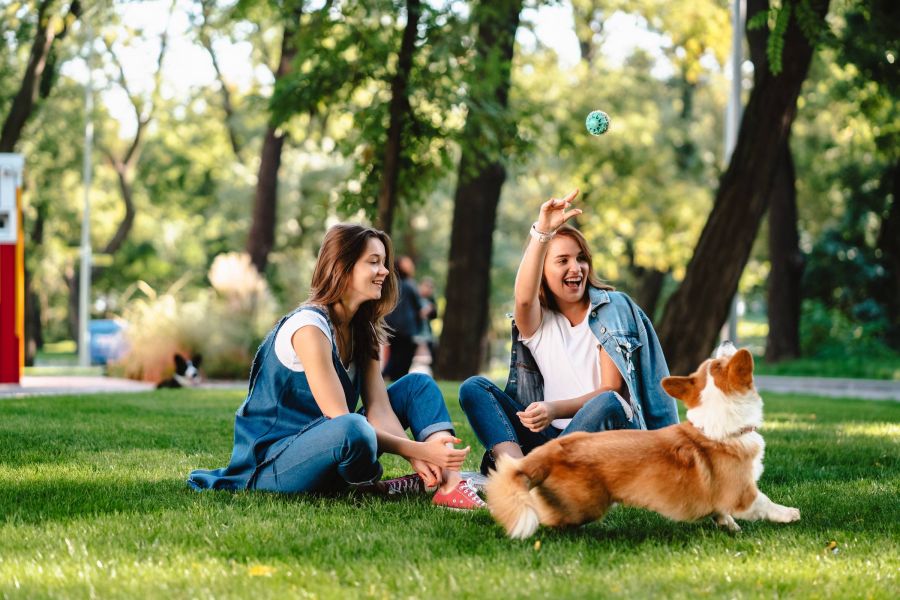 Attain on 5th apartment homes with Two women sitting on grass in a park, playing fetch with a corgi dog on a sunny day.