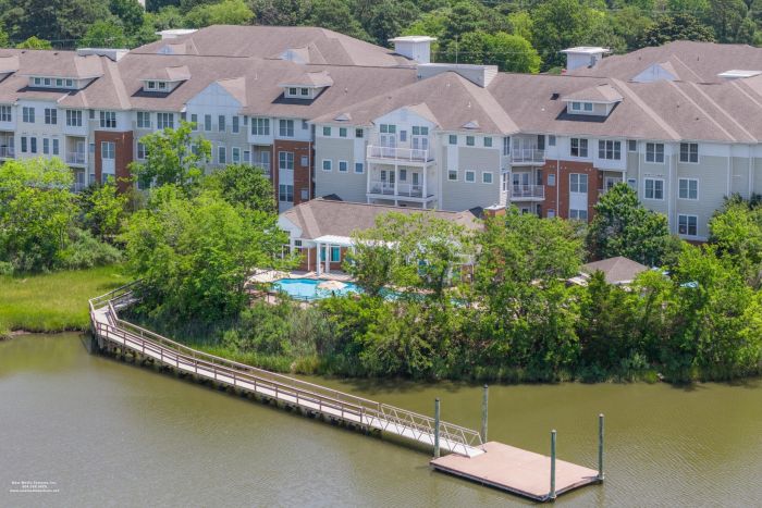 Apartment complex with waterfront dock, trees, and a swimming pool surrounded by greenery on a sunny day.