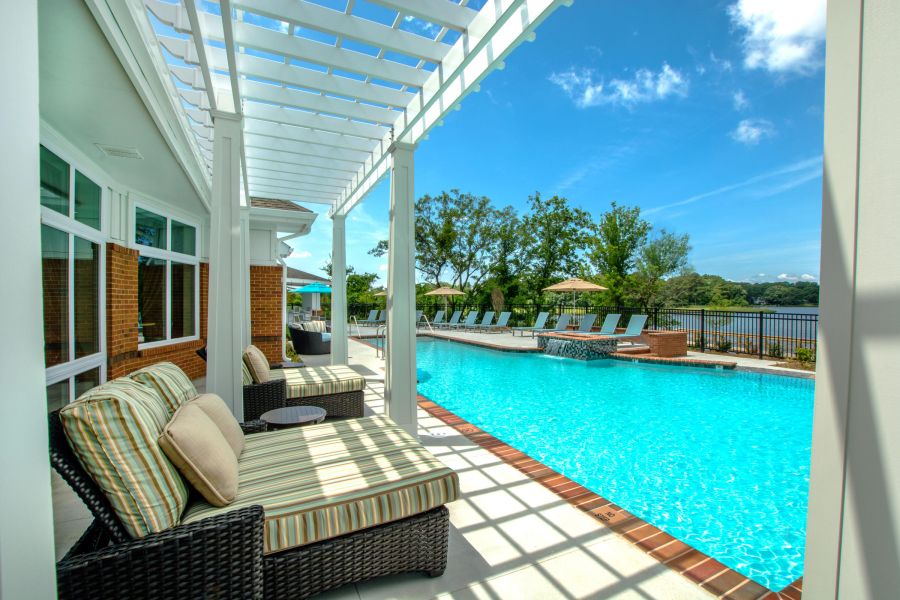 Poolside lounge chairs under a pergola, overlooking a bright blue swimming pool and trees in the background.